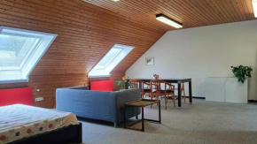 Big Cozy Entire Family Appartment
